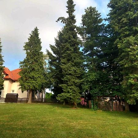 Kuca Za Odmor Zlatibor Villa Exteriör bild