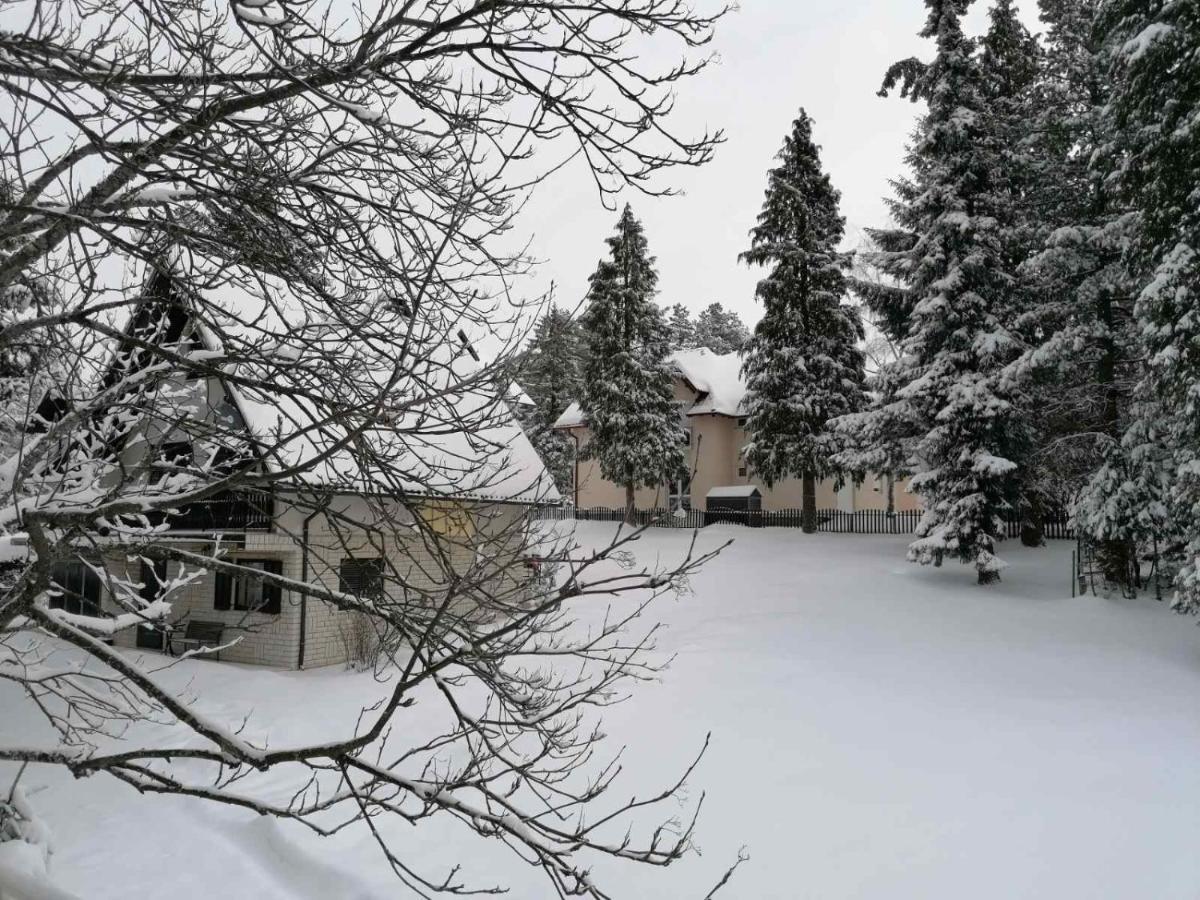 Kuca Za Odmor Zlatibor Villa Exteriör bild