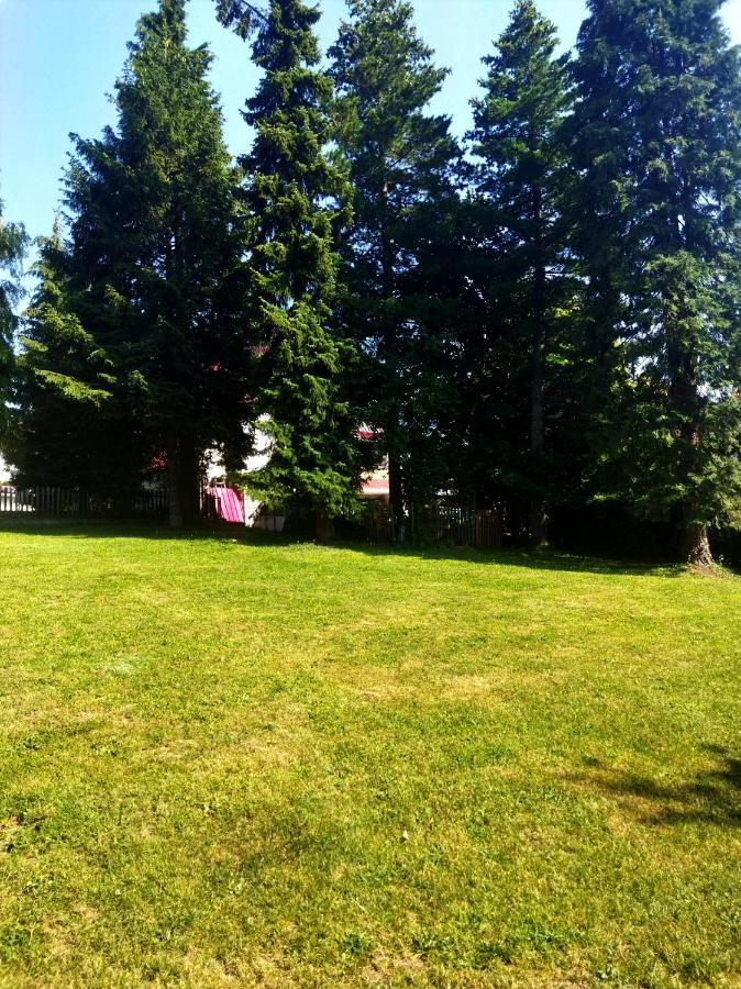 Kuca Za Odmor Zlatibor Villa Exteriör bild